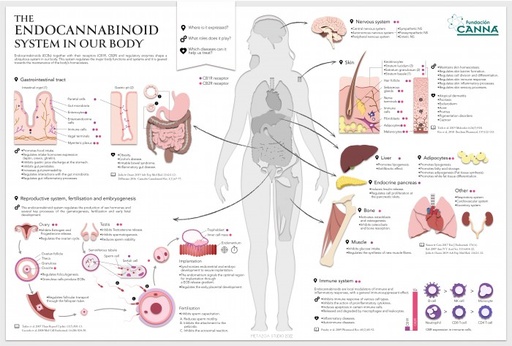 Info-graphics 04