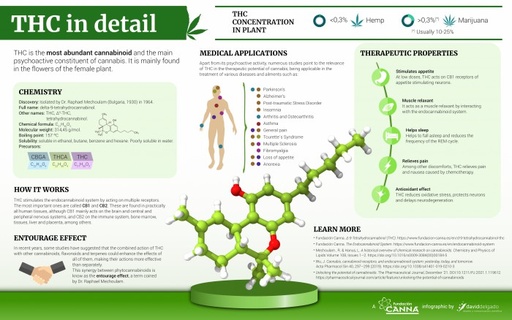 INFOGRAFÍA 06