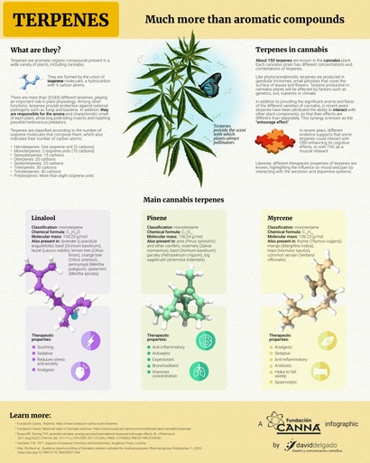 INFOGRAFÍA  03